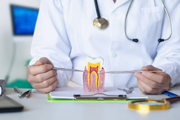 Best Emergency Root Canal Treatment in Messiah College, PA
